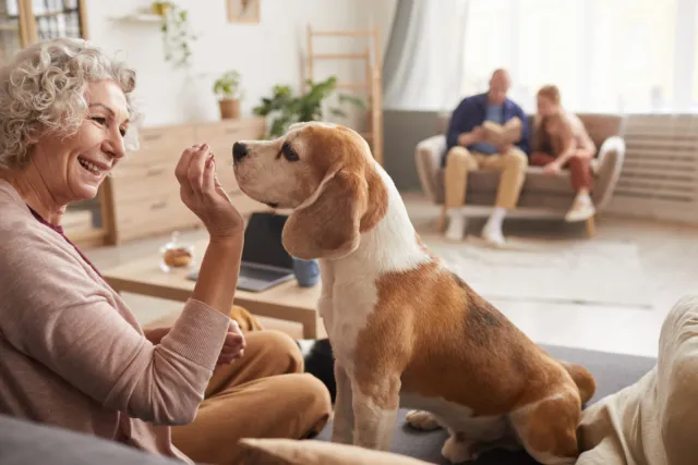 2023 will see a reimagining of what it means for senior housing to be pet-friendly, with an expansion of on-site amenities, including pet grooming, indoor dog playrooms and exercise yards.