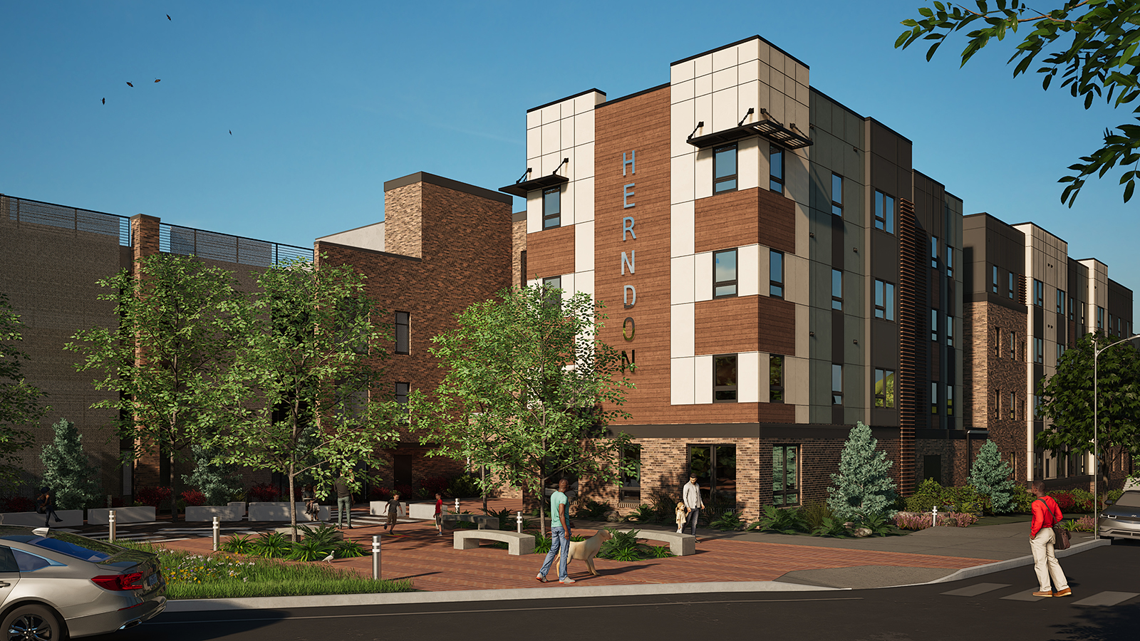 Web View of Entry